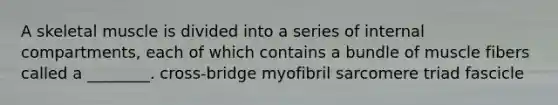 A skeletal muscle is divided into a series of internal compartments, each of which contains a bundle of muscle fibers called a ________. cross-bridge myofibril sarcomere triad fascicle