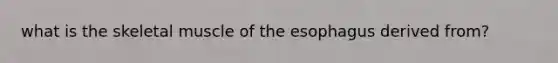 what is the skeletal muscle of the esophagus derived from?