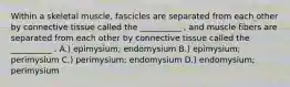 Within a skeletal muscle, fascicles are separated from each other by connective tissue called the __________ , and muscle fibers are separated from each other by connective tissue called the __________ . A.) epimysium; endomysium B.) epimysium; perimysium C.) perimysium; endomysium D.) endomysium; perimysium