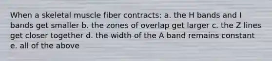 When a skeletal muscle fiber contracts: a. the H bands and I bands get smaller b. the zones of overlap get larger c. the Z lines get closer together d. the width of the A band remains constant e. all of the above