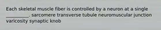 Each skeletal muscle fiber is controlled by a neuron at a single __________. sarcomere transverse tubule neuromuscular junction varicosity synaptic knob