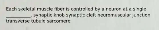 Each skeletal muscle fiber is controlled by a neuron at a single ___________. synaptic knob synaptic cleft neuromuscular junction transverse tubule sarcomere