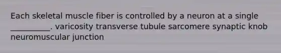 Each skeletal muscle fiber is controlled by a neuron at a single __________. varicosity transverse tubule sarcomere synaptic knob neuromuscular junction