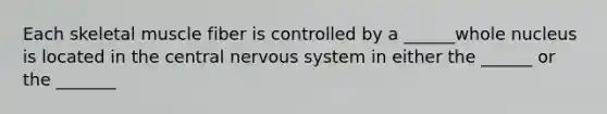 Each skeletal muscle fiber is controlled by a ______whole nucleus is located in the central nervous system in either the ______ or the _______