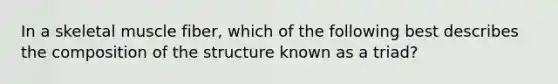 In a skeletal muscle fiber, which of the following best describes the composition of the structure known as a triad?