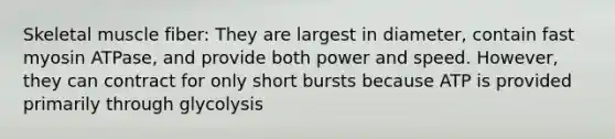Skeletal muscle fiber: They are largest in diameter, contain fast myosin ATPase, and provide both power and speed. However, they can contract for only short bursts because ATP is provided primarily through glycolysis