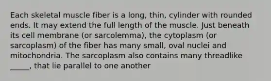 Each skeletal muscle fiber is a long, thin, cylinder with rounded ends. It may extend the full length of the muscle. Just beneath its cell membrane (or sarcolemma), the cytoplasm (or sarcoplasm) of the fiber has many small, oval nuclei and mitochondria. The sarcoplasm also contains many threadlike _____, that lie parallel to one another