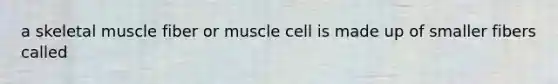 a skeletal muscle fiber or muscle cell is made up of smaller fibers called