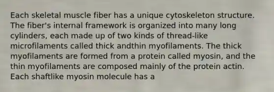 Each skeletal muscle fiber has a unique cytoskeleton structure. The fiber's internal framework is organized into many long cylinders, each made up of two kinds of thread-like microfilaments called thick andthin myofilaments. The thick myofilaments are formed from a protein called myosin, and the thin myofilaments are composed mainly of the protein actin. Each shaftlike myosin molecule has a