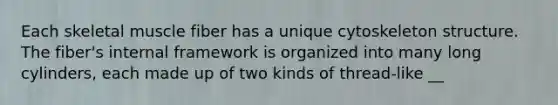 Each skeletal muscle fiber has a unique cytoskeleton structure. The fiber's internal framework is organized into many long cylinders, each made up of two kinds of thread-like __