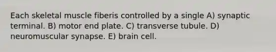 Each skeletal muscle fiberis controlled by a single A) synaptic terminal. B) motor end plate. C) transverse tubule. D) neuromuscular synapse. E) brain cell.