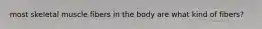 most skeletal muscle fibers in the body are what kind of fibers?