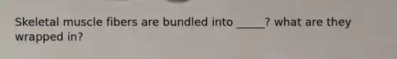 Skeletal muscle fibers are bundled into _____? what are they wrapped in?