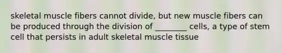 skeletal muscle fibers cannot divide, but new muscle fibers can be produced through the division of ________ cells, a type of stem cell that persists in adult skeletal muscle tissue