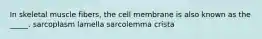 In skeletal muscle fibers, the cell membrane is also known as the _____. sarcoplasm lamella sarcolemma crista