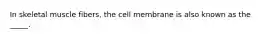 In skeletal muscle fibers, the cell membrane is also known as the _____.