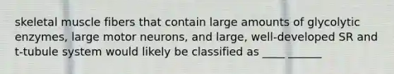 skeletal muscle fibers that contain large amounts of glycolytic enzymes, large motor neurons, and large, well-developed SR and t-tubule system would likely be classified as ____ ______