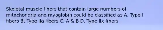 Skeletal muscle fibers that contain large numbers of mitochondria and myoglobin could be classified as A. Type I fibers B. Type IIa fibers C. A & B D. Type IIx fibers