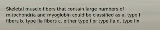 Skeletal muscle fibers that contain large numbers of mitochondria and myoglobin could be classified as a. type I fibers b. type IIa fibers c. either type I or type IIa d. type IIx