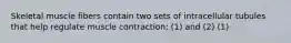 Skeletal muscle fibers contain two sets of intracellular tubules that help regulate muscle contraction: (1) and (2) (1)