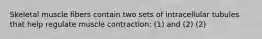 Skeletal muscle fibers contain two sets of intracellular tubules that help regulate muscle contraction: (1) and (2) (2)