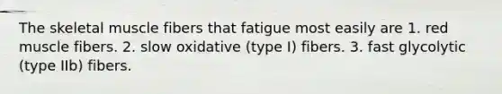 The skeletal muscle fibers that fatigue most easily are 1. red muscle fibers. 2. slow oxidative (type I) fibers. 3. fast glycolytic (type IIb) fibers.