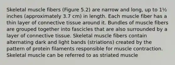 Skeletal muscle fibers (Figure 5.2) are narrow and long, up to 1½ inches (approximately 3.7 cm) in length. Each muscle fiber has a thin layer of connective tissue around it. Bundles of muscle fibers are grouped together into fascicles that are also surrounded by a layer of connective tissue. Skeletal muscle fibers contain alternating dark and light bands (striations) created by the pattern of protein filaments responsible for muscle contraction. Skeletal muscle can be referred to as striated muscle