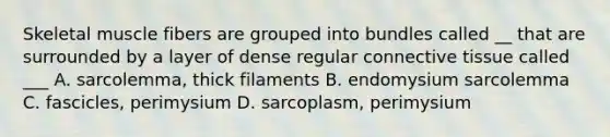 Skeletal muscle fibers are grouped into bundles called __ that are surrounded by a layer of dense regular connective tissue called ___ A. sarcolemma, thick filaments B. endomysium sarcolemma C. fascicles, perimysium D. sarcoplasm, perimysium