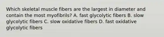 Which skeletal muscle fibers are the largest in diameter and contain the most myofibrils? A. fast glycolytic fibers B. slow glycolytic fibers C. slow oxidative fibers D. fast oxidative glycolytic fibers