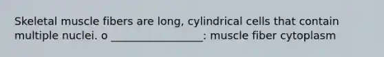 Skeletal muscle fibers are long, cylindrical cells that contain multiple nuclei. o _________________: muscle fiber cytoplasm