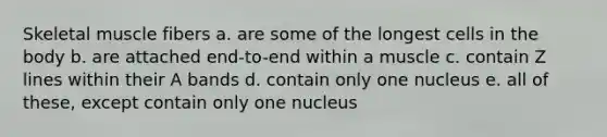 Skeletal muscle fibers a. are some of the longest cells in the body b. are attached end-to-end within a muscle c. contain Z lines within their A bands d. contain only one nucleus e. all of these, except contain only one nucleus