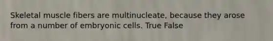 Skeletal muscle fibers are multinucleate, because they arose from a number of embryonic cells. True False