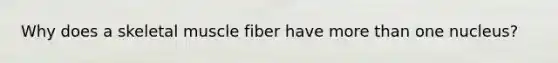 Why does a skeletal muscle fiber have <a href='https://www.questionai.com/knowledge/keWHlEPx42-more-than' class='anchor-knowledge'>more than</a> one nucleus?