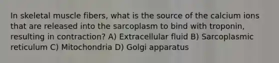 In skeletal muscle fibers, what is the source of the calcium ions that are released into the sarcoplasm to bind with troponin, resulting in contraction? A) Extracellular fluid​ ​B) Sarcoplasmic reticulum ​C) Mitochondria ​D) Golgi apparatus