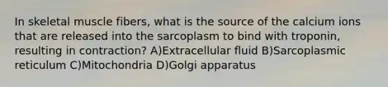 In skeletal muscle fibers, what is the source of the calcium ions that are released into the sarcoplasm to bind with troponin, resulting in contraction? A)Extracellular fluid B)Sarcoplasmic reticulum C)Mitochondria D)Golgi apparatus