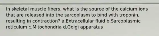 In skeletal muscle fibers, what is the source of the calcium ions that are released into the sarcoplasm to bind with troponin, resulting in contraction? a.Extracellular fluid b.Sarcoplasmic reticulum c.Mitochondria d.Golgi apparatus