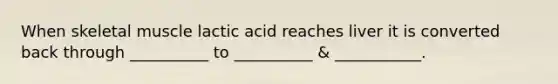 When skeletal muscle lactic acid reaches liver it is converted back through __________ to __________ & ___________.