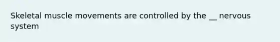 Skeletal muscle movements are controlled by the __ nervous system