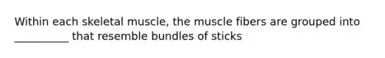 Within each skeletal muscle, the muscle fibers are grouped into __________ that resemble bundles of sticks