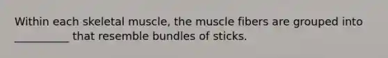 Within each skeletal muscle, the muscle fibers are grouped into __________ that resemble bundles of sticks.