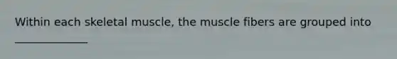 Within each skeletal muscle, the muscle fibers are grouped into _____________