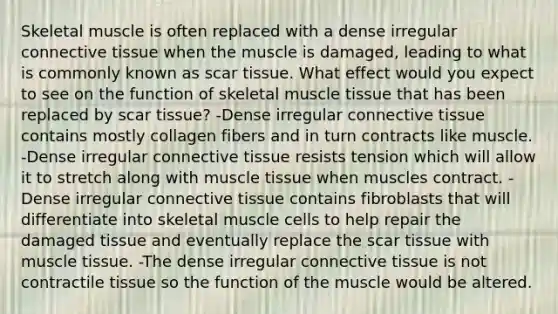 Skeletal muscle is often replaced with a dense irregular connective tissue when the muscle is damaged, leading to what is commonly known as scar tissue. What effect would you expect to see on the function of skeletal muscle tissue that has been replaced by scar tissue? -Dense irregular connective tissue contains mostly collagen fibers and in turn contracts like muscle. -Dense irregular connective tissue resists tension which will allow it to stretch along with muscle tissue when muscles contract. -Dense irregular connective tissue contains fibroblasts that will differentiate into skeletal muscle cells to help repair the damaged tissue and eventually replace the scar tissue with muscle tissue. -The dense irregular connective tissue is not contractile tissue so the function of the muscle would be altered.