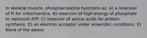 In skeletal muscle, phosphocreatine functions as: A) a reservoir of Pi for mitochondria. B) reservoir of high-energy of phosphate to replenish ATP. C) reservoir of amino acids for protein synthesis. D) an electron acceptor under anaerobic conditions. E) None of the above