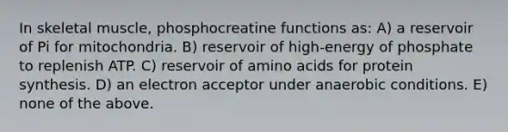 In skeletal muscle, phosphocreatine functions as: A) a reservoir of Pi for mitochondria. B) reservoir of high-energy of phosphate to replenish ATP. C) reservoir of <a href='https://www.questionai.com/knowledge/k9gb720LCl-amino-acids' class='anchor-knowledge'>amino acids</a> for <a href='https://www.questionai.com/knowledge/kVyphSdCnD-protein-synthesis' class='anchor-knowledge'>protein synthesis</a>. D) an electron acceptor under anaerobic conditions. E) none of the above.