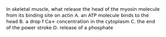 In skeletal muscle, what release the head of the myosin molecule from its binding site on actin A. an ATP molecule binds to the head B. a drop f Ca+ concentration in the cytoplasm C. the end of the power stroke D. release of a phosphate