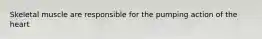 Skeletal muscle are responsible for the pumping action of the heart