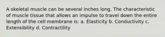 A skeletal muscle can be several inches long. The characteristic of muscle tissue that allows an impulse to travel down the entire length of the cell membrane is: a. Elasticity b. Conductivity c. Extensibility d. Contractility