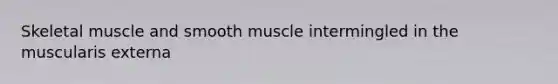 Skeletal muscle and smooth muscle intermingled in the muscularis externa