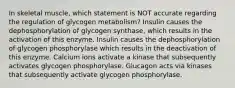 In skeletal muscle, which statement is NOT accurate regarding the regulation of glycogen metabolism? Insulin causes the dephosphorylation of glycogen synthase, which results in the activation of this enzyme. Insulin causes the dephosphorylation of glycogen phosphorylase which results in the deactivation of this enzyme. Calcium ions activate a kinase that subsequently activates glycogen phosphorylase. Glucagon acts via kinases that subsequently activate glycogen phosphorylase.