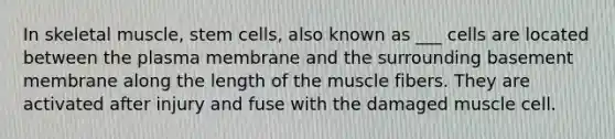 In skeletal muscle, stem cells, also known as ___ cells are located between the plasma membrane and the surrounding basement membrane along the length of the muscle fibers. They are activated after injury and fuse with the damaged muscle cell.